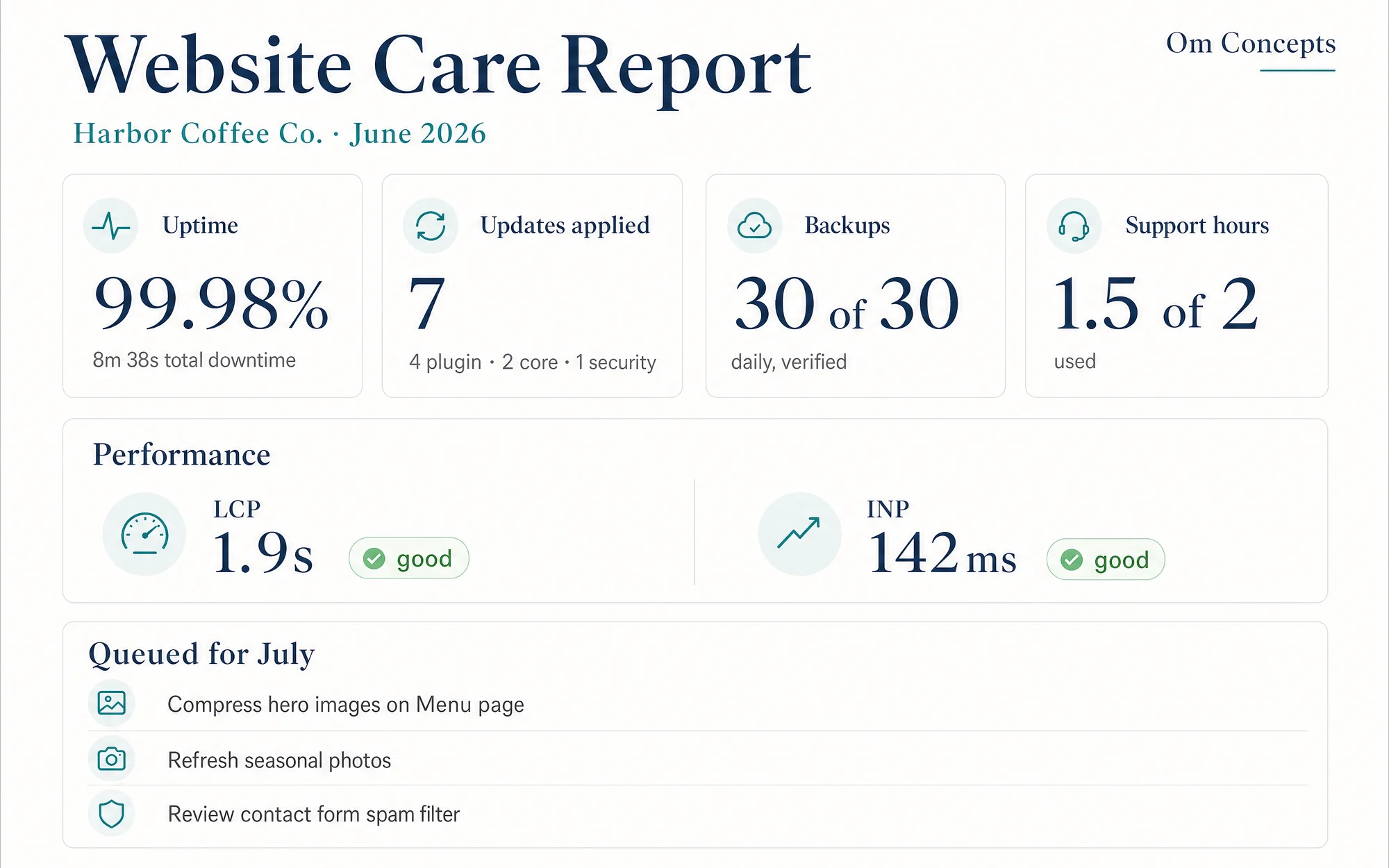 Illustrative monthly care report with uptime, updates, backups, and performance readings.